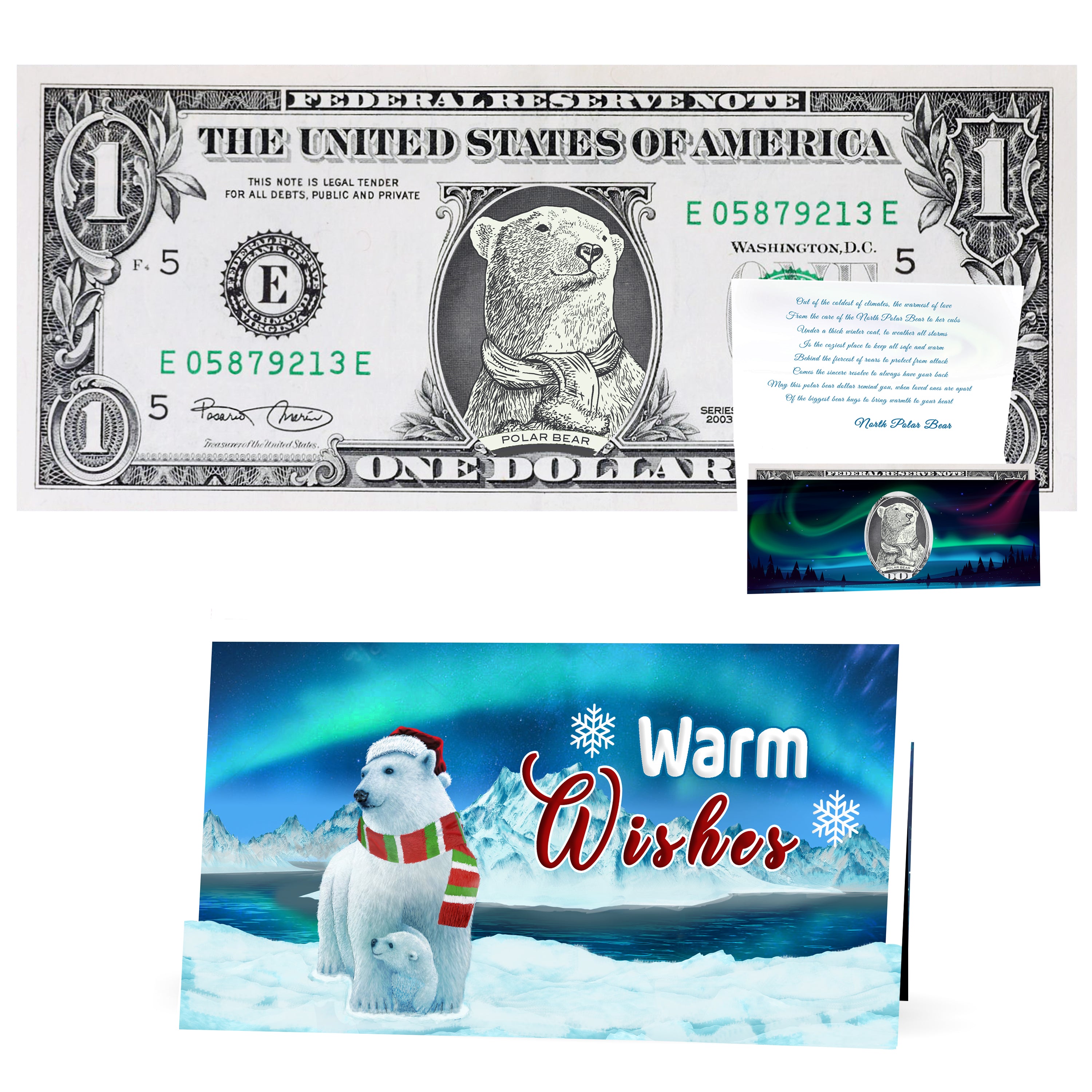 North Polar Bear Dollar Bill Stocking Stuffer Complete Gift Christmas Gift Package with Holiday Greeting Card. Affordable Christmas Gift
